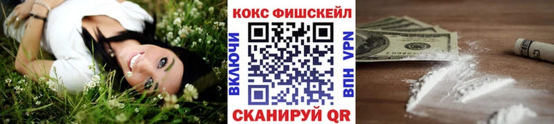 купить   Анжеро-Судженск  Cocaine Эквадор 