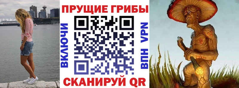 где продают   Анжеро-Судженск  МЕГА как зайти  Галлюциногенные грибы ЛСД 